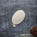 Loofah Shower Pad